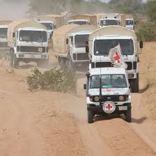 International Committee of the Red Cross